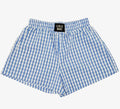 LuLu light blue gingham short