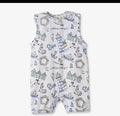 Seashore Boy Shortall
