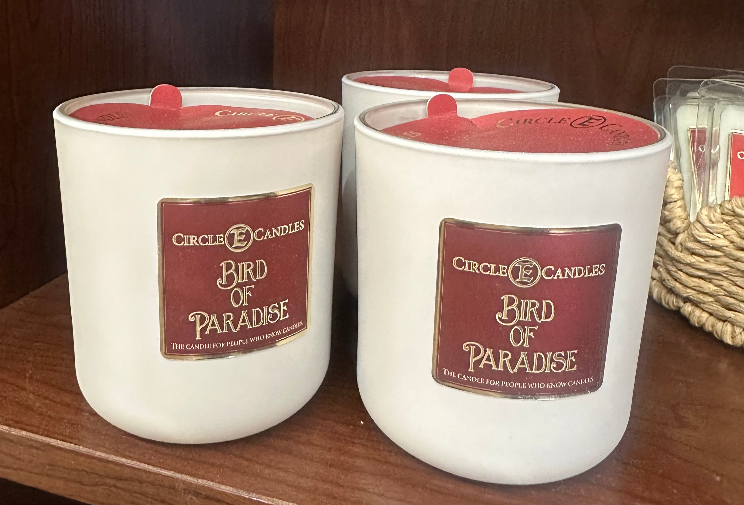 Circle E Birds of Paradise 14oz candle
