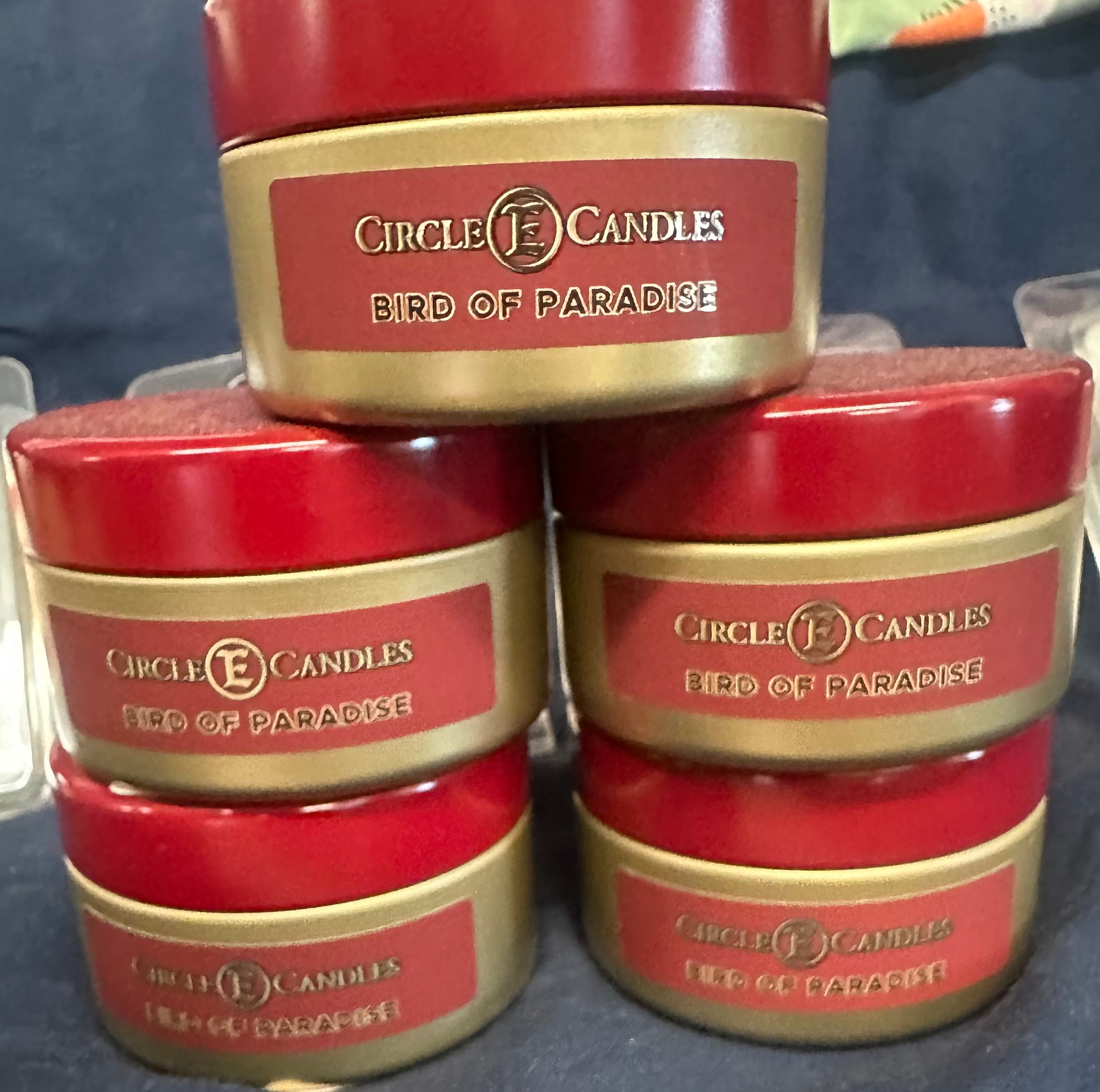 Circle E Birds of Paradise Travel Tin